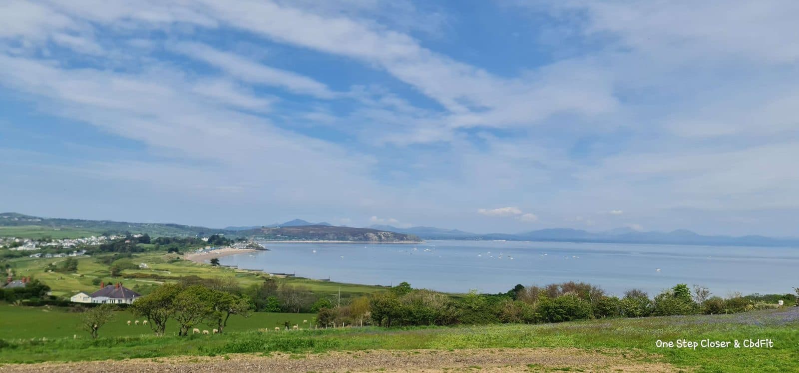 The Roc triathlon Wales 2024